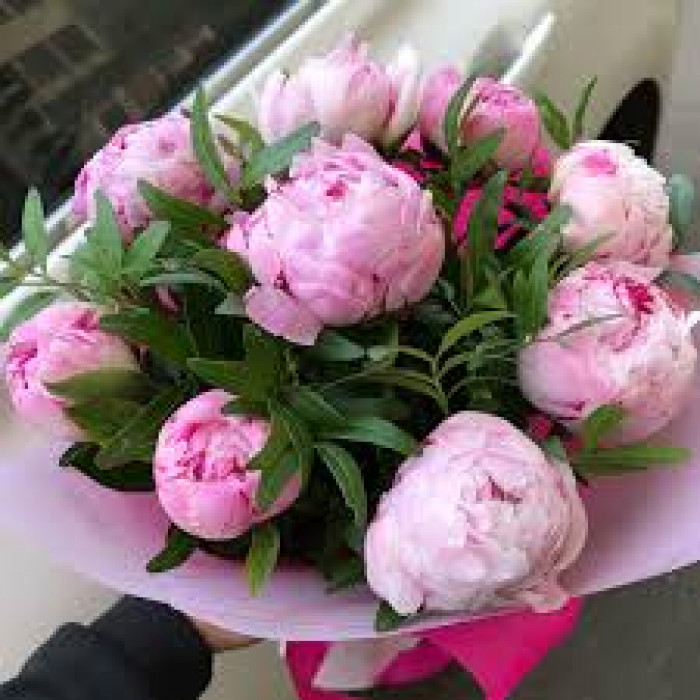 Пион древовидный в Аркальске