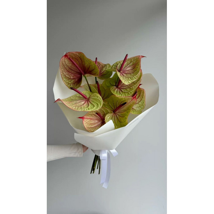 Антуриумы в Аркальске