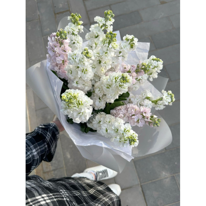 Маттиола в Аркальске