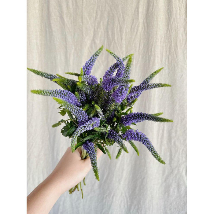 Вероника в Аркальске