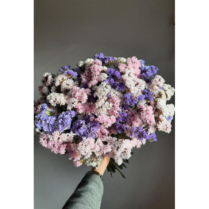 Статица (Лимониум) в Аркальске