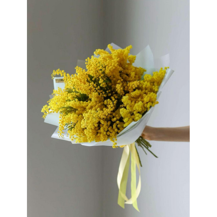 Мимоза в Аркальске