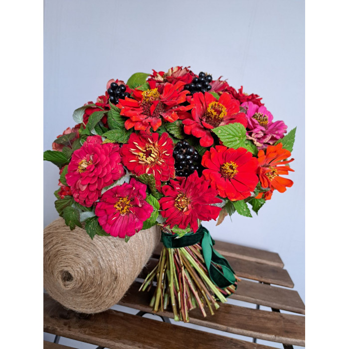 Циния в Аркальске