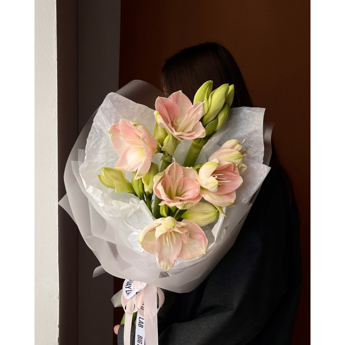 Амариллис в Аркальске