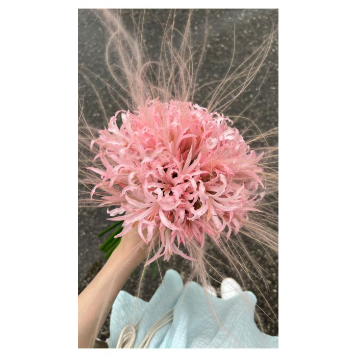 Нерине в Аркальске