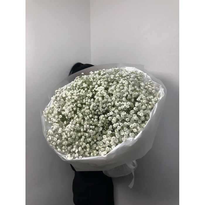 Гипсофила классическая в Аркальске