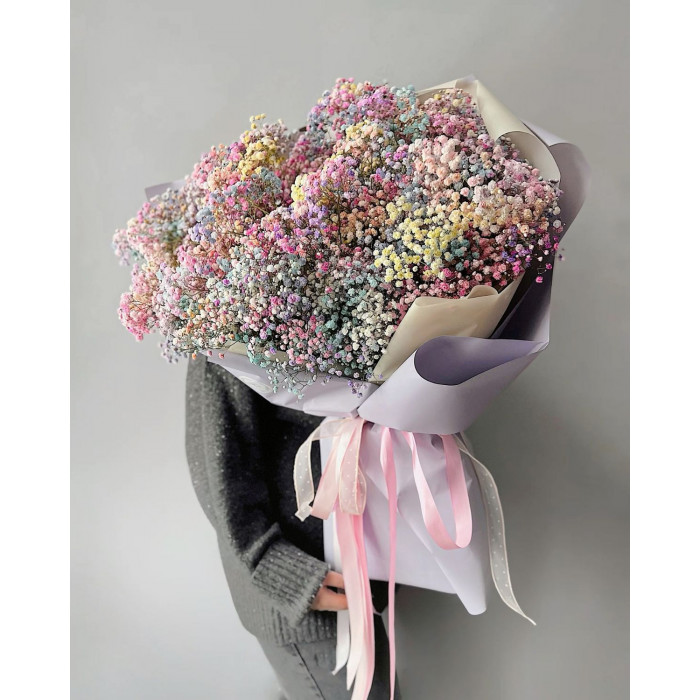 Гипсофила цветная в Аркальске