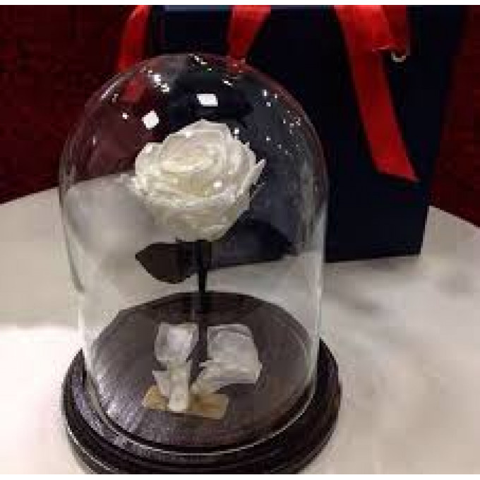 Роза в колбе белая Роза в колбе белая