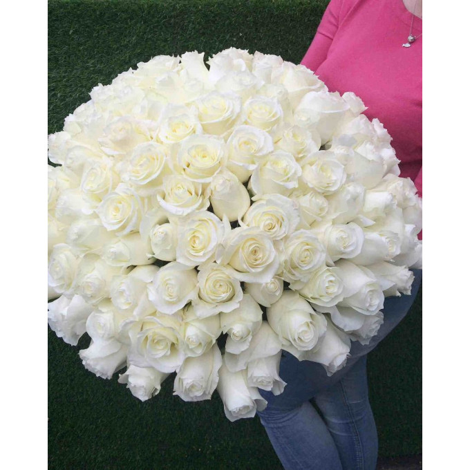 Букет из 101 белой розы Букет из 101 белой розы