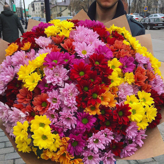 Букет из 101 хризантемы Букет из 101 хризантемы