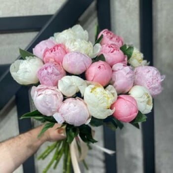 21 пион 21 пион