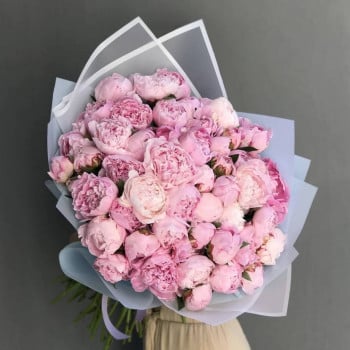 51 пион 51 пион