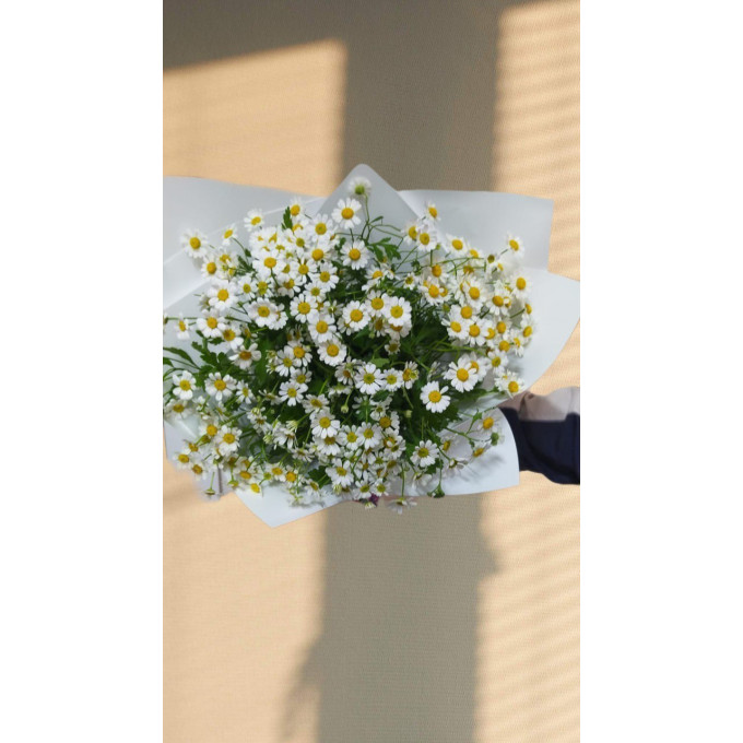 Воздушный букет из полевых ромашек Воздушный букет из полевых ромашек