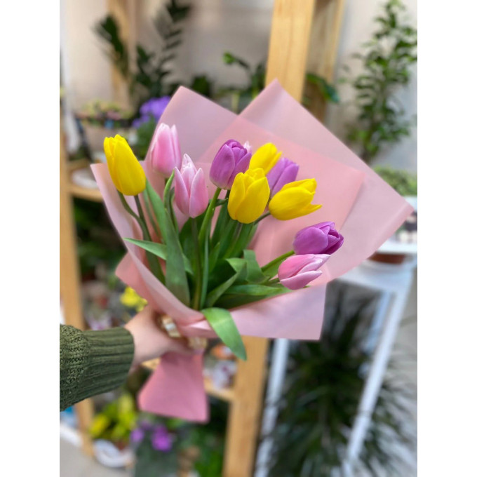 11 тюльпанов 11 тюльпанов